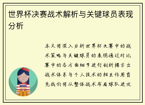 世界杯决赛战术解析与关键球员表现分析